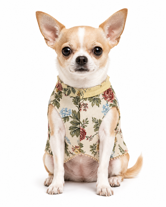 Vintage Floral Tapestry Dog Vest – Cream & Sage | Premium Designer Pet Apparel