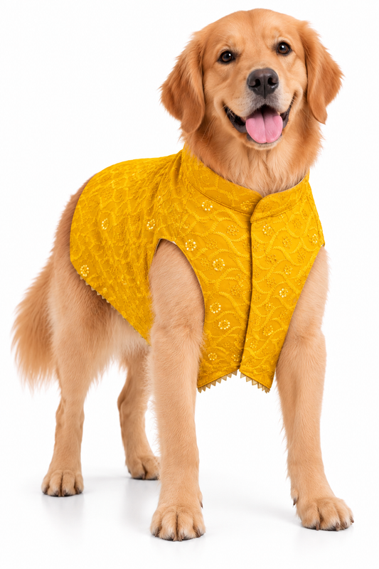 Bright Yellow Embroidered Ethnic Kurta / Sherwani Jacket for Dogs
