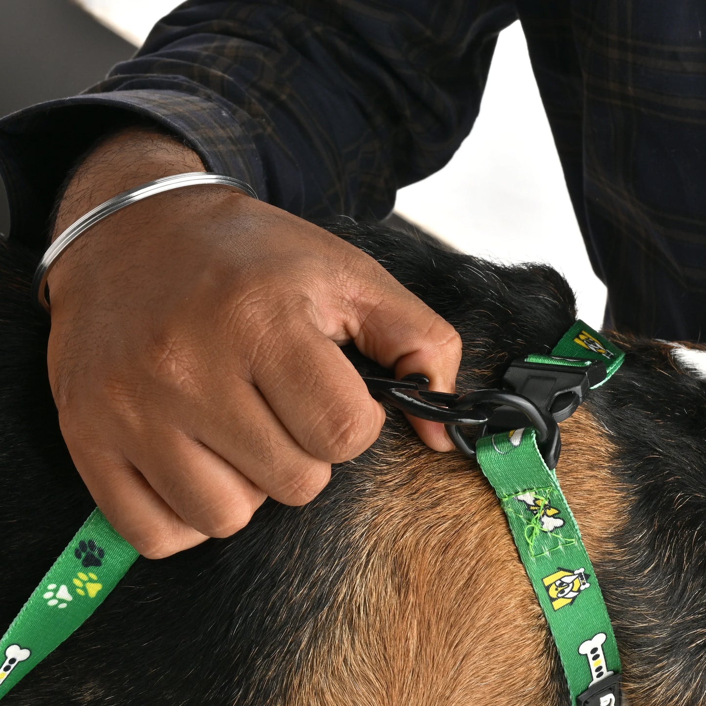 Furry Freak Everyday Dog Collar – Green Nylon with Quick-Release Buckle - Furry Freak