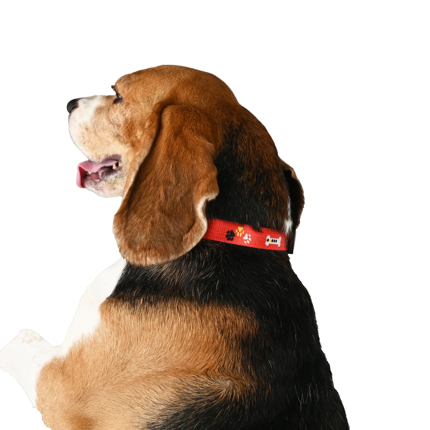 Furry Freak Red Adjustable Dog Collar – Strong Nylon with Cute Prints - Furry Freak