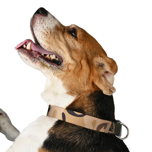 Furry Freak Brown Camo Adjustable Dog Collar – Rugged - Furry Freak