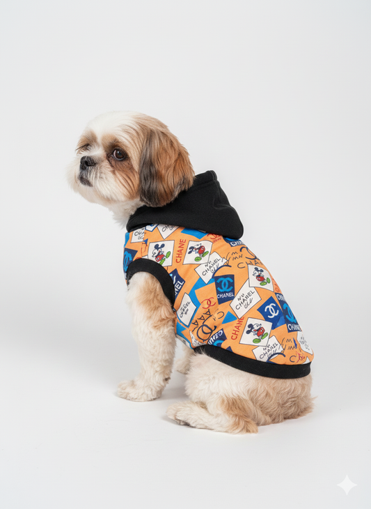 Dog wearing a colorful patterned jacket on a white background