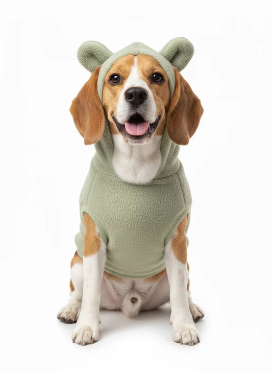 Stylish Winter Dog Hoodie - Cozy Green