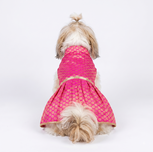 🌸 Festive Pink & Gold Brocade Ethnic Dog Dress