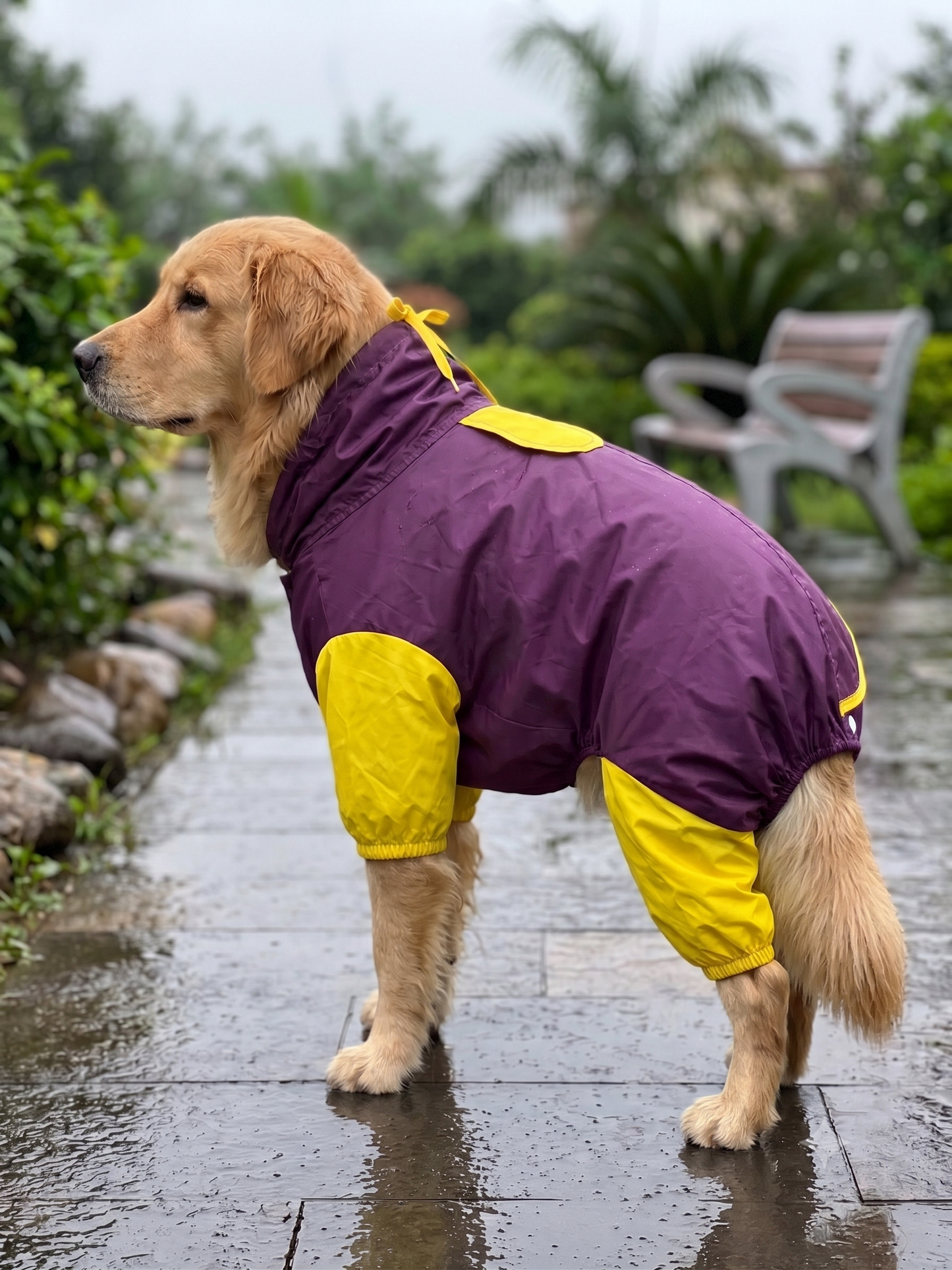 All-Weather Full-Body Dog Raincoat