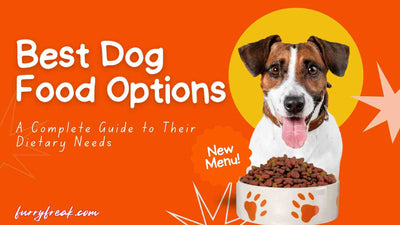 What Are the Best Dog Food Options? A Complete Guide to Their Dietary Needs