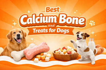 Best Calcium Bone and Treats for Dogs in India: Full Guide For Pet Parents