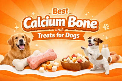Best Calcium Bone and Treats for Dogs in India: Full Guide For Pet Parents