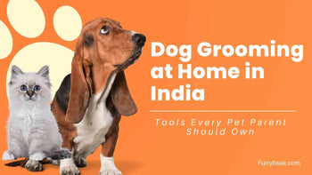 Dog Grooming at Home in India: Tools Every Pet Parent Should Own