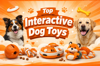 Top Interactive Dog Toys in India: How to Choose the Best Toys for Mental Stimulation