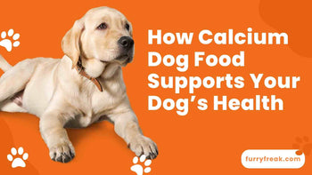 How Calcium Dog Food Supports Your Dog’s Health