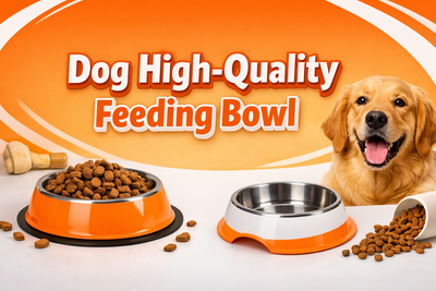 Why Every Indian Dog Needs a High-Quality Feeding Bowl: Hygiene, Posture & Material Guide