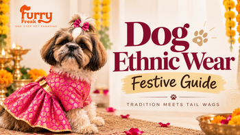 Dog Ethnic Wear: How to Dress Your Dog for Weddings, Diwali & Every Festive Occasion