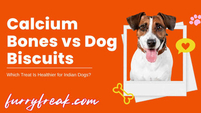 Calcium Bones vs Dog Biscuits: Which Treat Is Healthier for Indian Dogs?