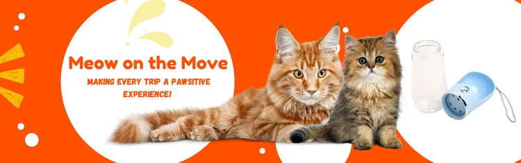 CAT TRAVEL ESSENTIALS