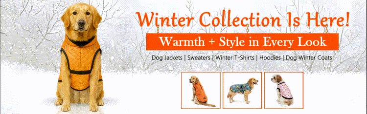 Dog Winter Coats