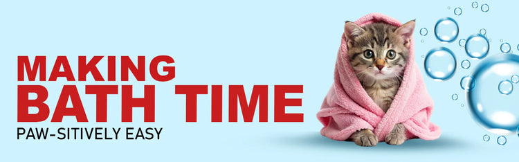 Grooming Cats - Furry Freak