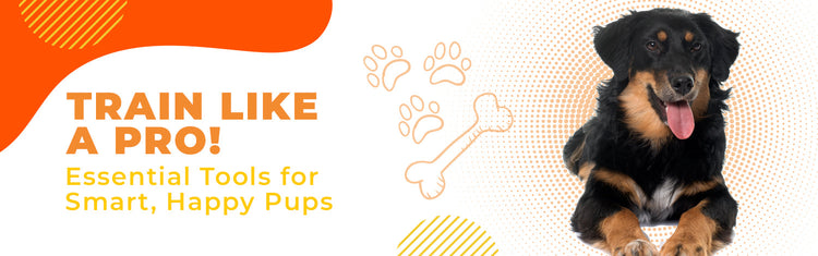 Pet Training Essentials - Furry Freak