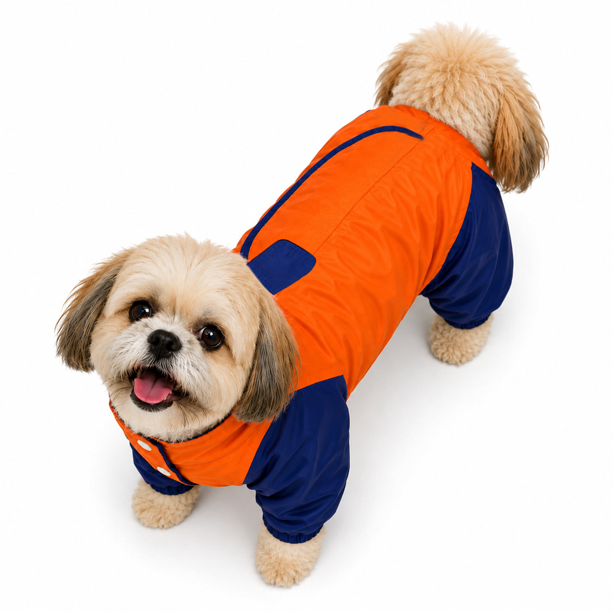 A small fluffy dog wearing a bright orange and navy blue pet jacket, photographed against a clean white background.