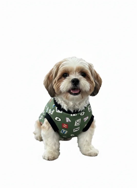 Alphabet Fun Green Dog T-Shirt – Stylish & Comfy Letter Print Tee for Dogs (and more!)