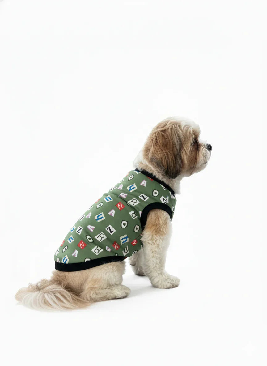 Small dog wearing a green patterned harness on a white background