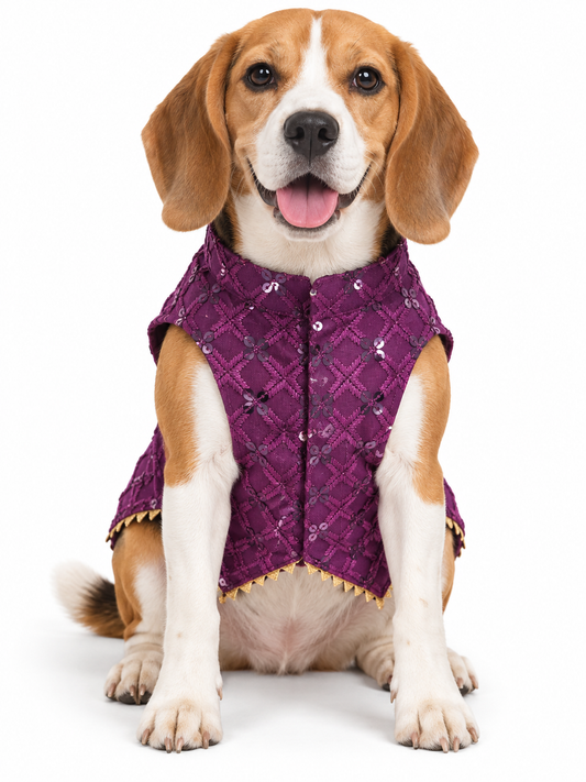 Royal Purple Embroidered Ethnic Kurta / Sherwani Jacket for Dogs