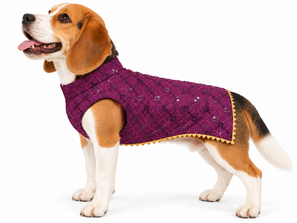 Royal Purple Embroidered Ethnic Kurta / Sherwani Jacket for Dogs