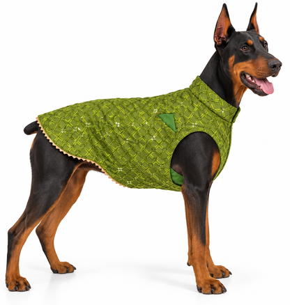 Olive Green Embroidered Ethnic Kurta / Sherwani Jacket for Dogs