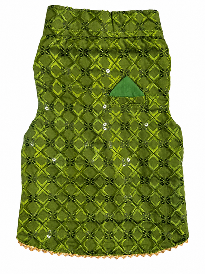 Olive Green Embroidered Ethnic Kurta / Sherwani Jacket for Dogs