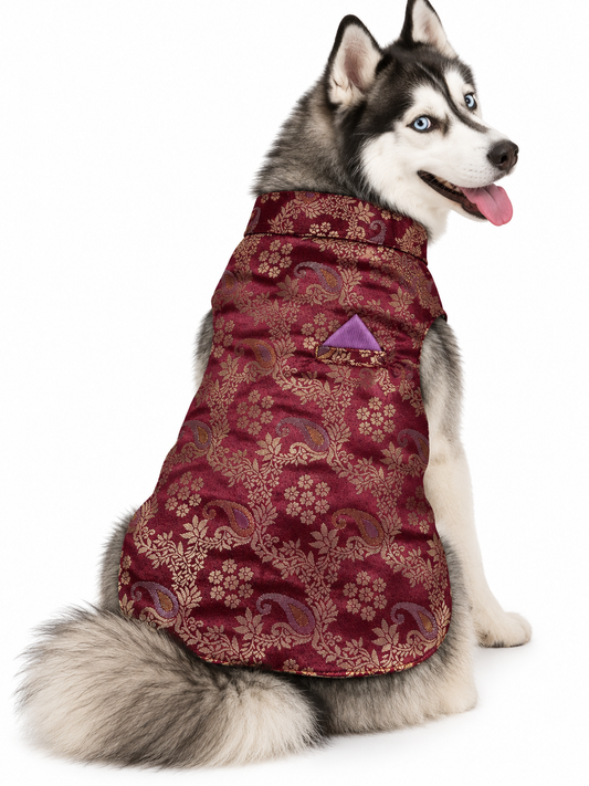 Maroon & Gold Brocade Ethnic Kurta / Sherwani Jacket for Dogs