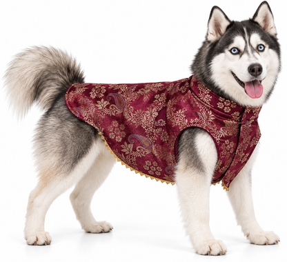 Maroon & Gold Brocade Ethnic Kurta / Sherwani Jacket for Dogs