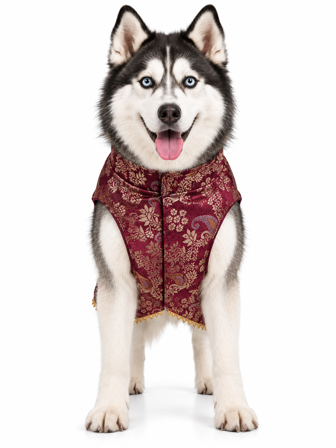 Maroon & Gold Brocade Ethnic Kurta / Sherwani Jacket for Dogs