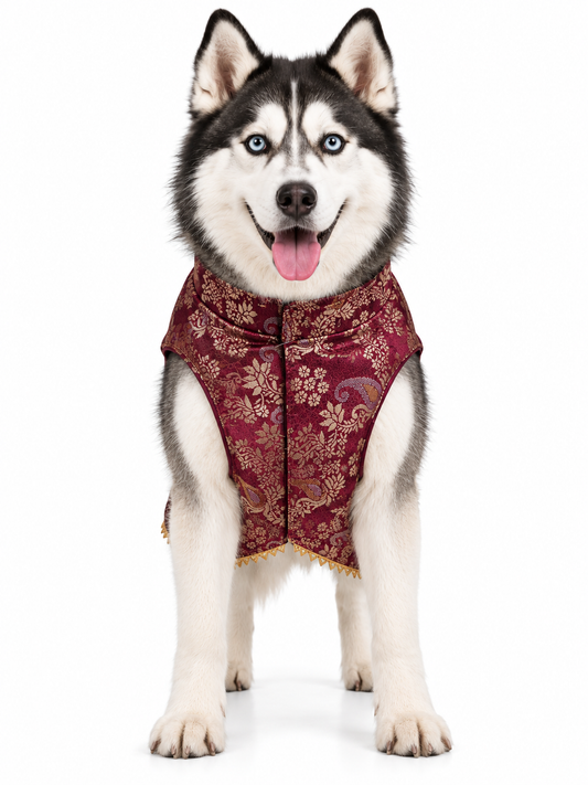 Maroon & Gold Brocade Ethnic Kurta / Sherwani Jacket for Dogs