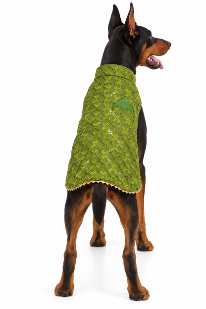 Olive Green Embroidered Ethnic Kurta / Sherwani Jacket for Dogs