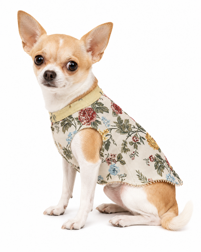 Vintage Floral Tapestry Dog Vest – Cream & Sage | Premium Designer Pet Apparel
