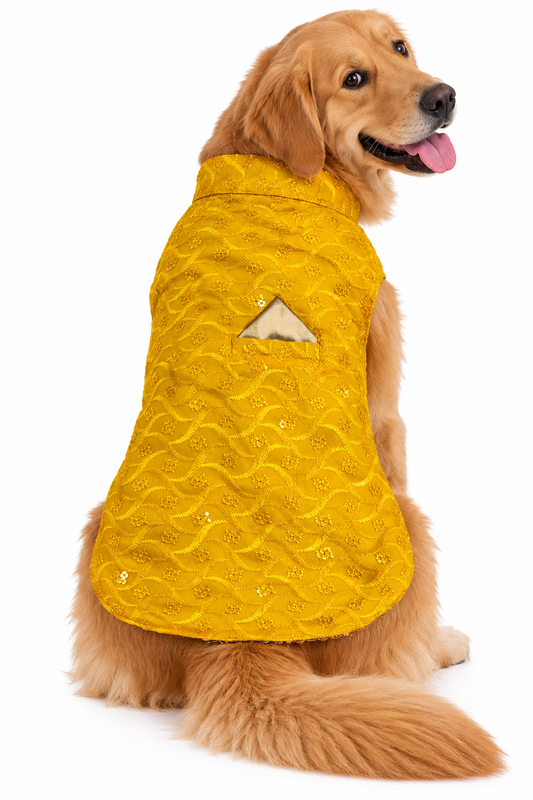 Bright Yellow Embroidered Ethnic Kurta / Sherwani Jacket for Dogs