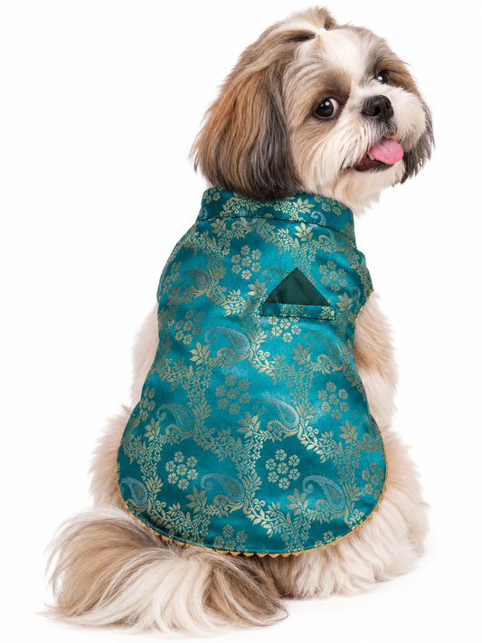 Teal Green Brocade Ethnic Kurta / Sherwani Jacket for Dogs