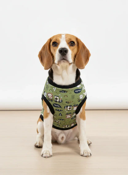 Dog wearing a green patterned harness on a plain background