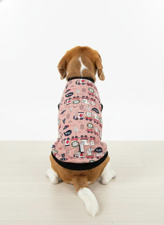 Dog wearing a pink patterned shirt on a white background
