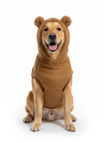 Dog wearing a brown bear costume on a white background