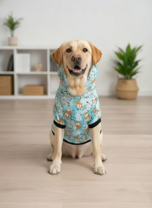 Dog wearing a blue hoodie with cartoon designs indoors on a wooden floor.