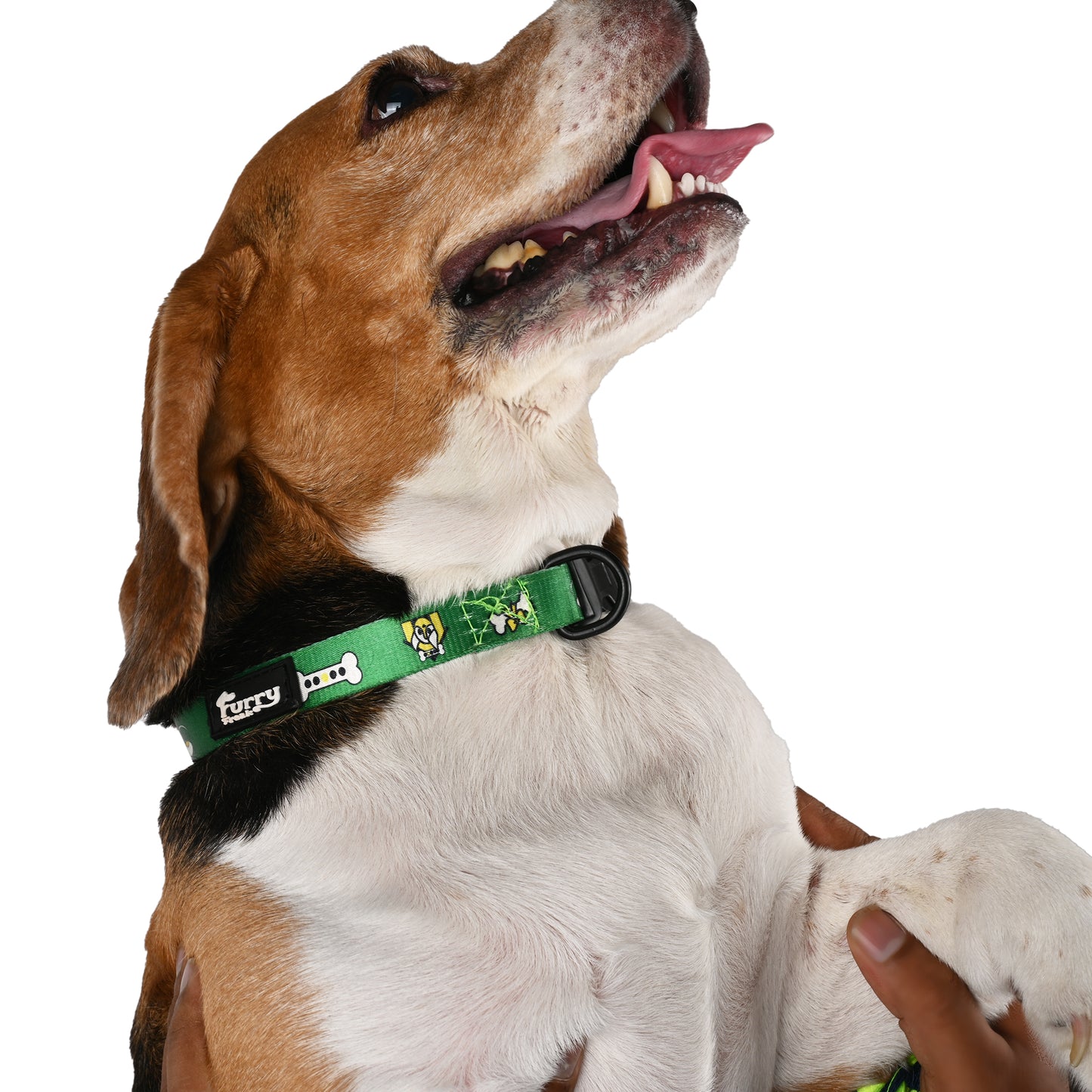 Furry Freak Everyday Dog Collar – Green Nylon with Quick-Release Buckle