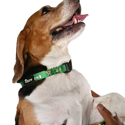 Furry Freak Everyday Dog Collar – Green Nylon with Quick-Release Buckle