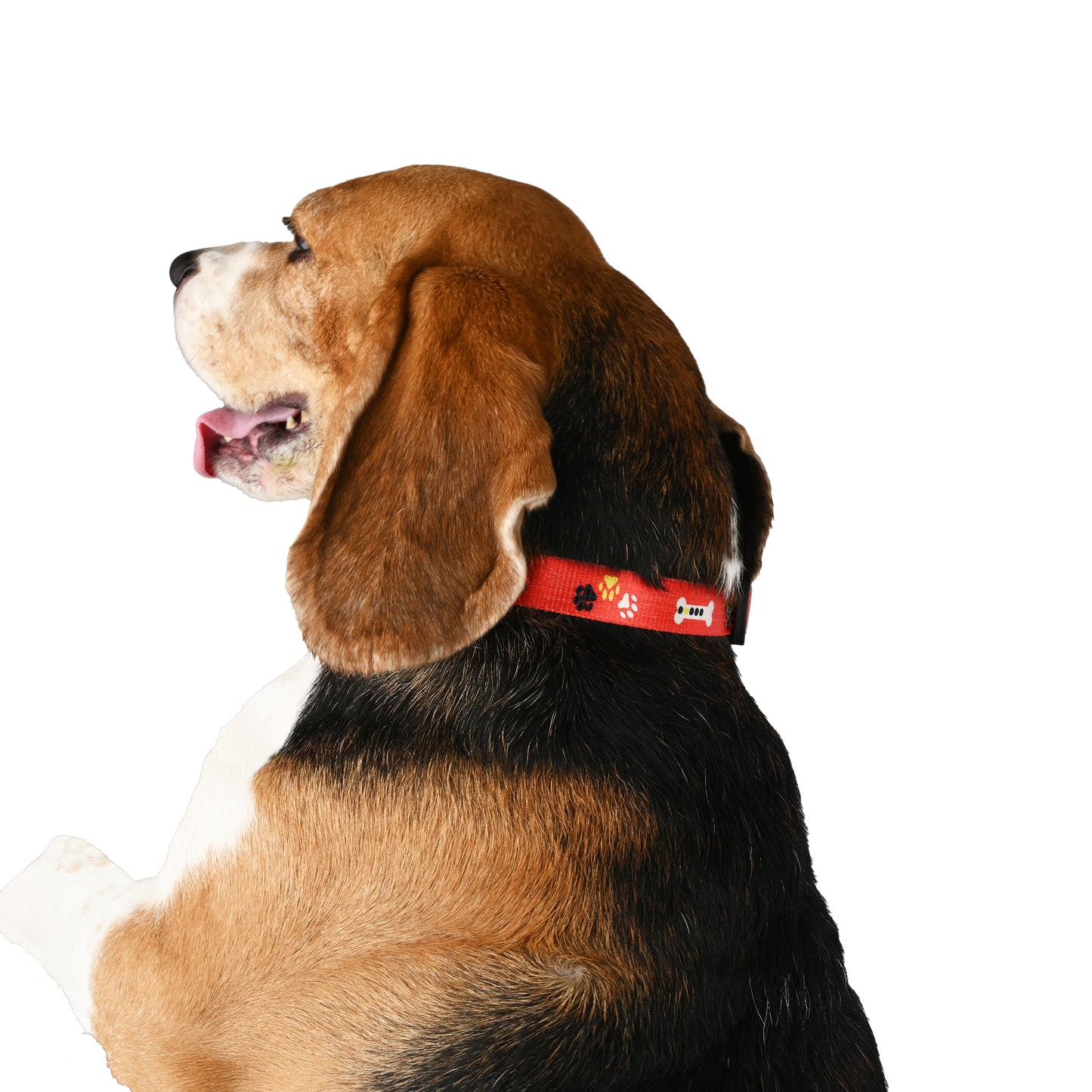 Furry Freak Red Adjustable Dog Collar – Strong Nylon with Cute Prints