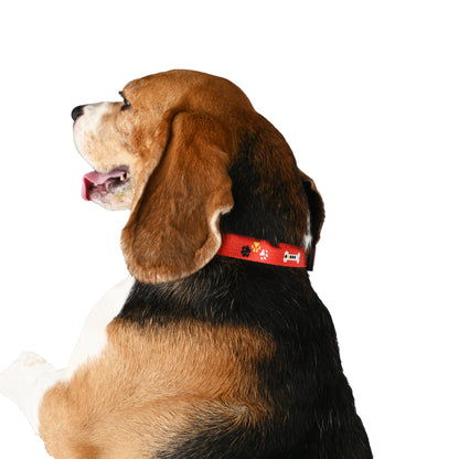 Furry Freak Red Adjustable Dog Collar – Strong Nylon with Cute Prints