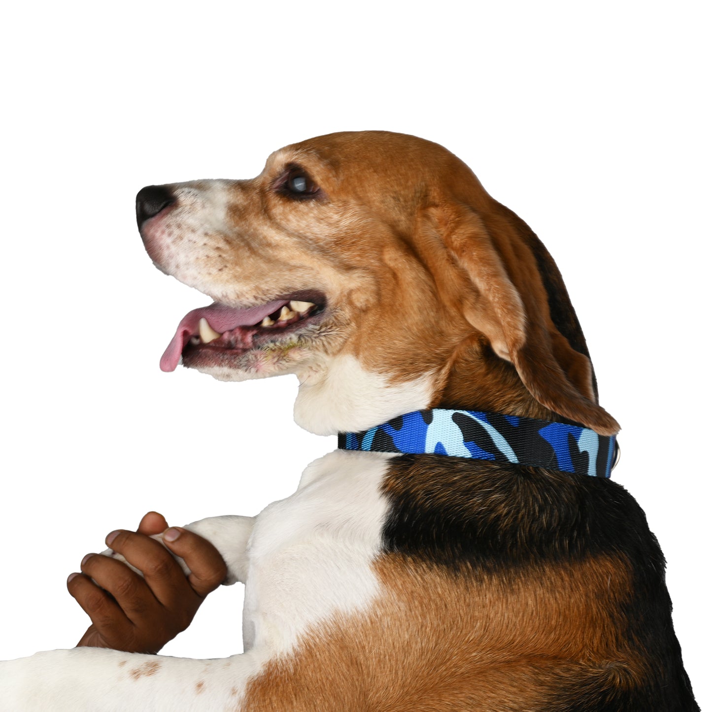 Furry Freak Blue Camouflage Adjustable Dog Collar