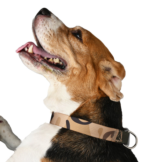 Furry Freak Brown Camo Adjustable Dog Collar – Rugged