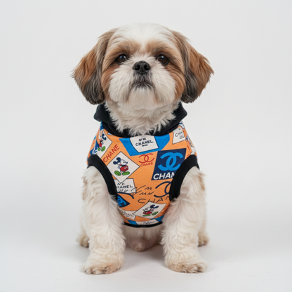 Small dog wearing a colorful patterned harness on a white background