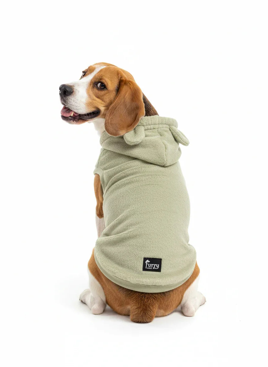 Stylish Winter Dog Hoodie - Cozy Green