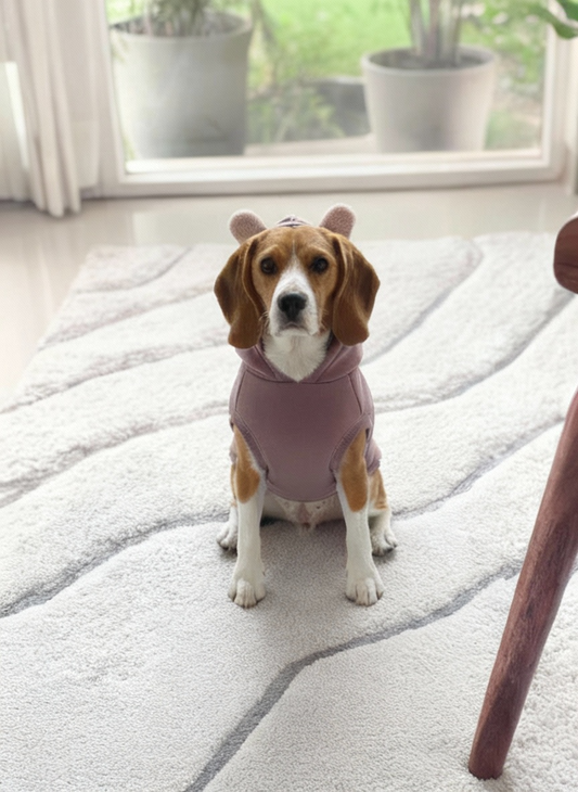 🐾 Teddy Bloom Dog Sweatshirt: Cozy Style with a Touch of Whimsy! 🌸